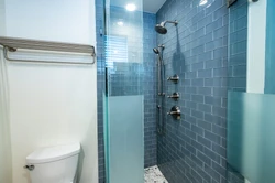 Dickens Master Bathroom — project view 3