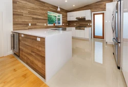 Encino Kitchen Remodel — project view 1