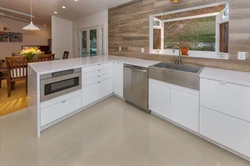 Encino Kitchen Remodel — project view 2